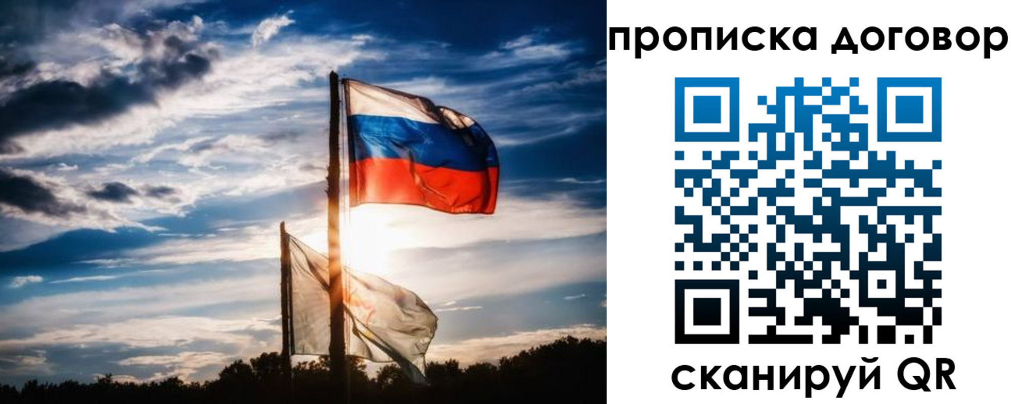 временная регистрация гарантия в Щиграх